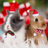 Hamster Christmas Halloween Costume Guinea Pig Small Pet Hat Scarf Headwear Pet Outfits for Chinchilla Rabbit Bunny Accessories - Image 5