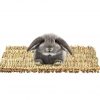 3 Pack Natural Wood Rabbit Bunny Mat Toy Bed For Small Animals Like Guinea Pig And Parrot - Durable And Cozy Straw Mat Set - Image 3