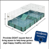 Guinea Habitat plus Cage, Includes Divider Panel and Hinged Top, Washable PVC Canvas Bottom, Expandable Small Animal Cage for Guinea Pigs, 171GHP - Image 3