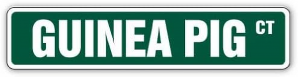 GUINEA PIG Aluminum Street Sign Childrens Name Room Metal Sign | Indoor/Outdoor | 18" Wide