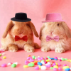2Pcs/Set Guinea Pig Hat and Bowtie Hamster Costume Outfit Rats Chinchilla Cap Hedgehog Hat Small Pet Items Accessories - Image 5