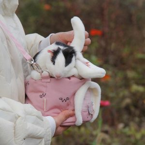 Cozy Critter Carryall