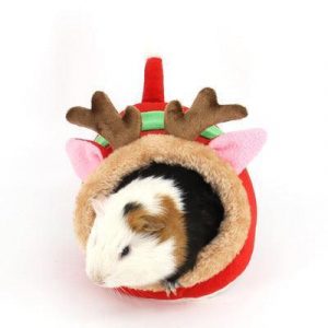 Cozy Critter Haven