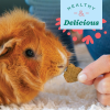 Animal Health Organic Rewards Barley Biscuit Treats, Barley Guinea Pig & Bunny Treats, Pet Snack for Rabbit, Carrot, Apple, Made with  Guinea Pig Hay, Alfalfa for Rabbit, 2.65 Oz Bag - Image 8
