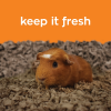 Pet Bedding for Small Animals - Image 4